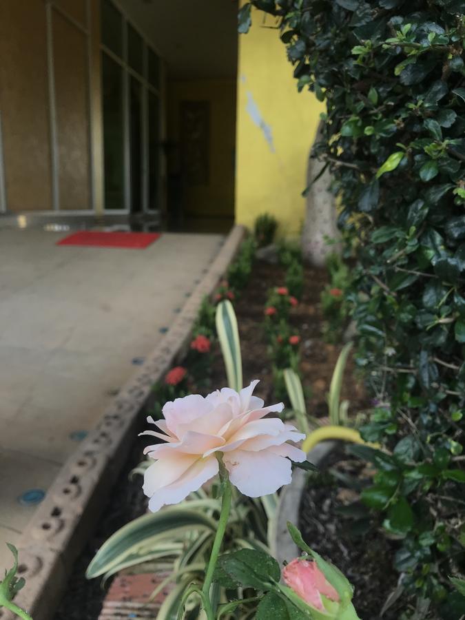 M波克奥酒店 Huay Xai 外观 照片